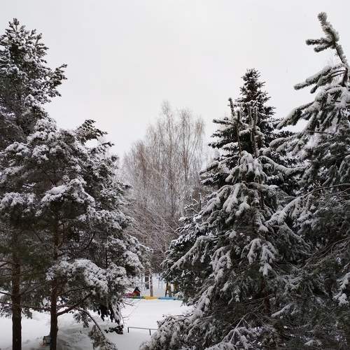 Photo #5684344