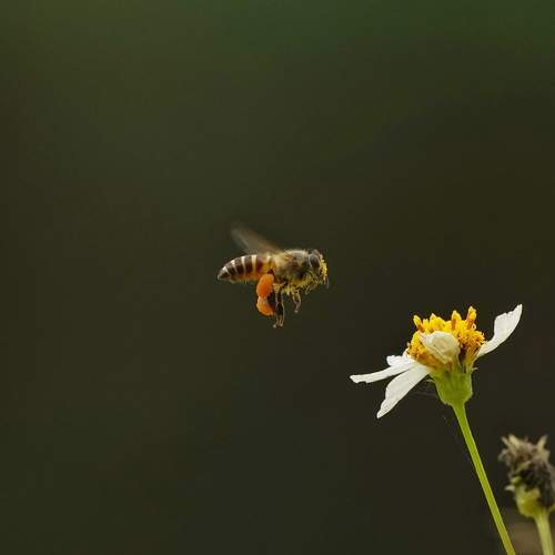 Photo #5684444