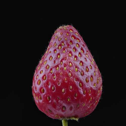 Photo #5684446