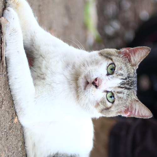 Photo #5684484