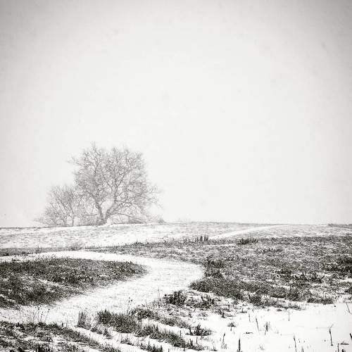 Photo #5684622