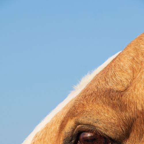 Photo #5684774