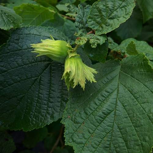 Photo #5684830