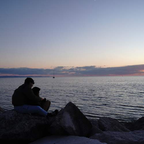 Photo #5684922