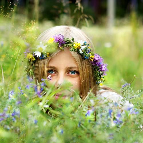 Photo #5685493