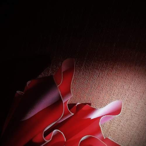 Photo #5686003