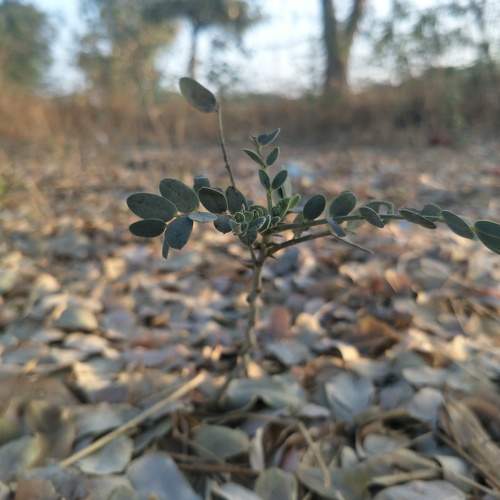 Photo #5686114