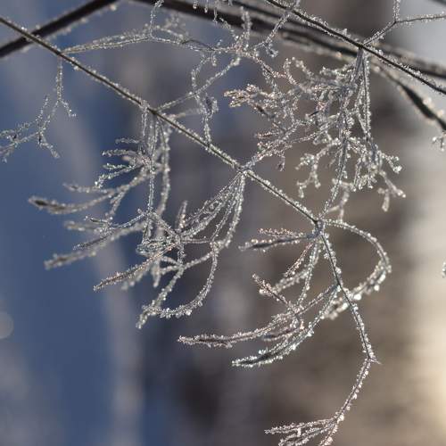Photo #5686158