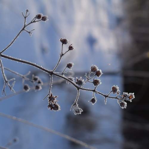 Photo #5686221
