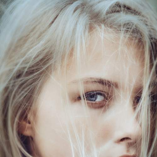 Photo #5686291