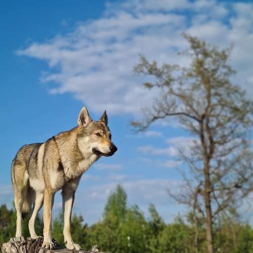 Photo #5686587