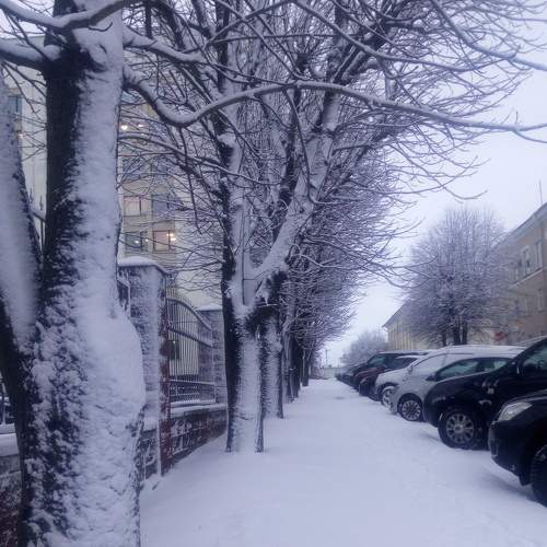 Утро в городе
