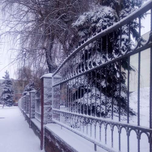 Зимнее утро