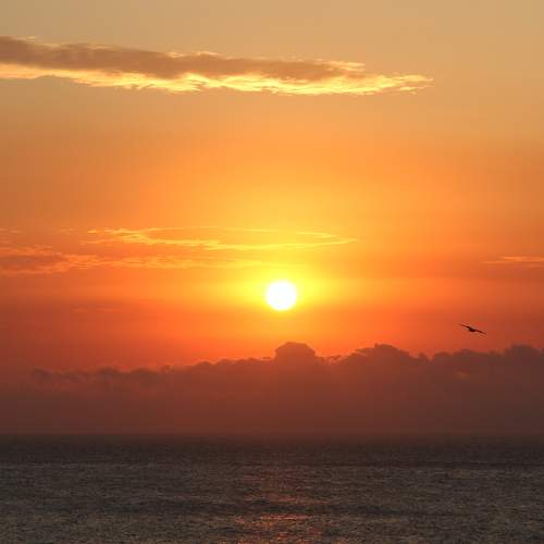Photo #5686707