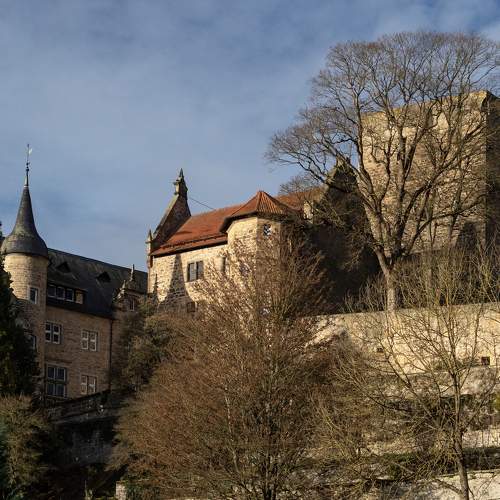 Photo #5686874