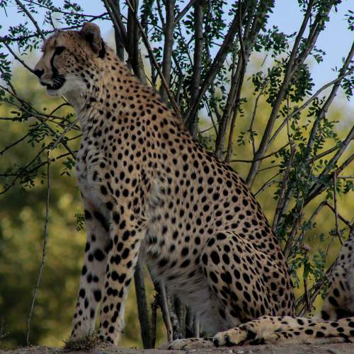 Photo #5686931