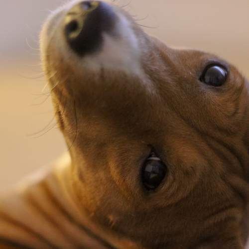 Photo #5687419