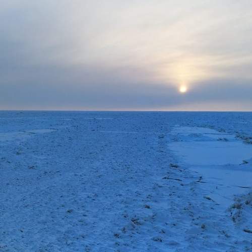 Photo #5687555