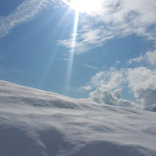 Photo #5687786