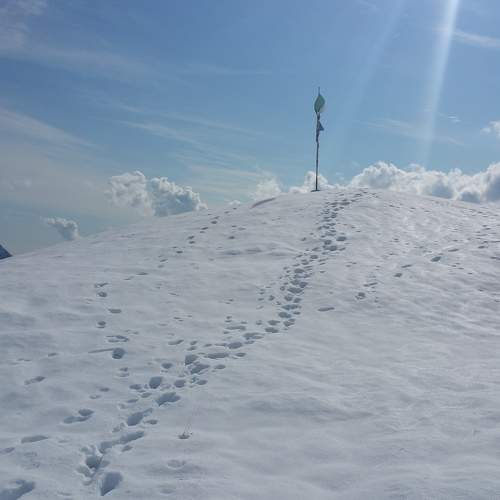 Photo #5687793
