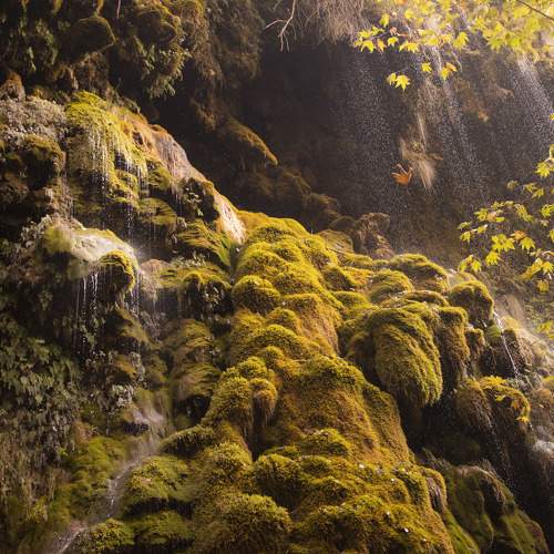 Photo #5687879