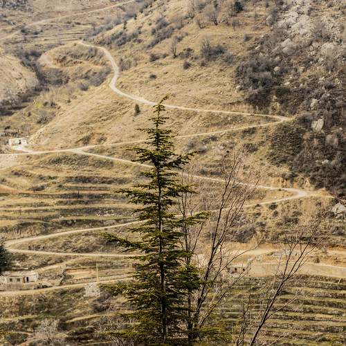 Photo #5687900