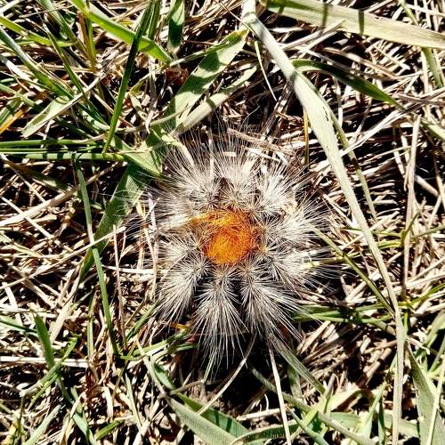 Photo #5688062