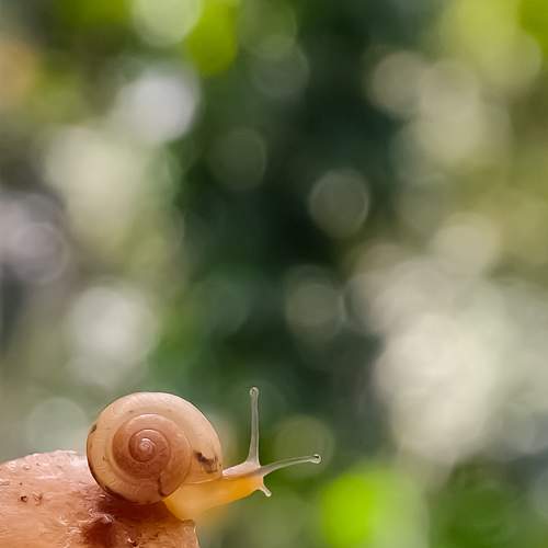 Photo #5688713