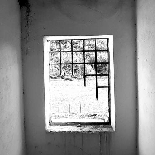 Photo #5688716