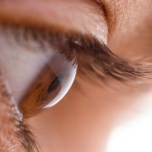 Photo #5688792