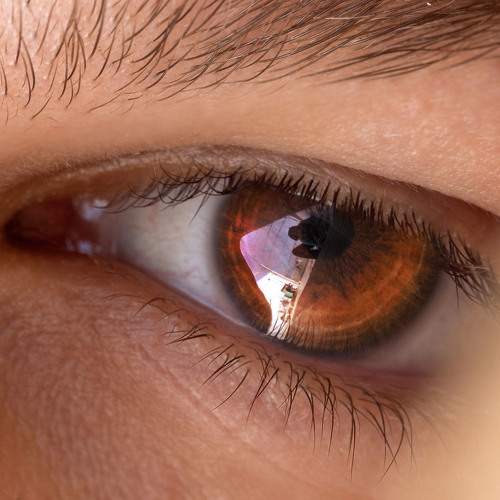 Photo #5688793