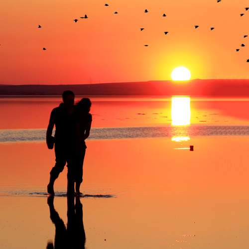 Photo #5688872