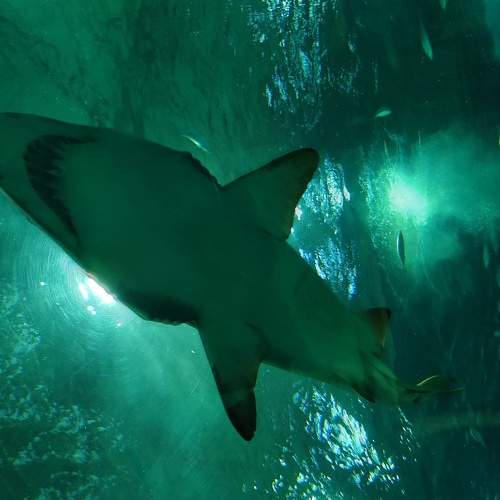 Photo #5688999