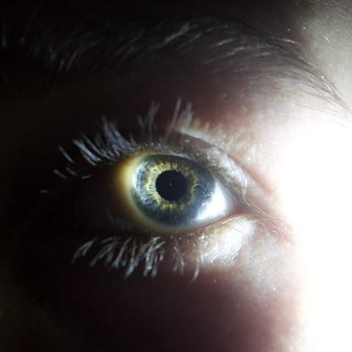 Photo #5689158