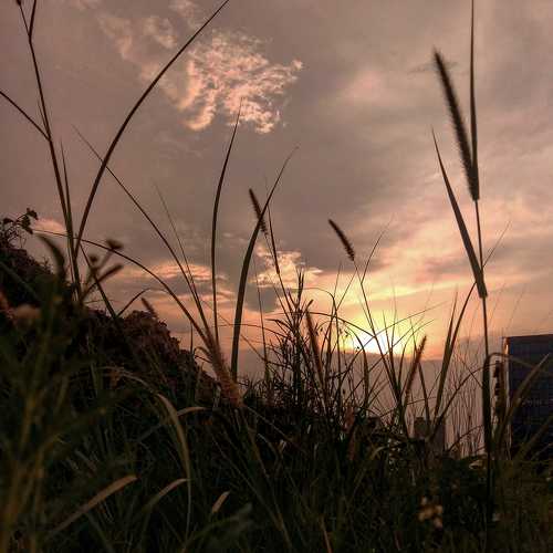 Photo #5689171