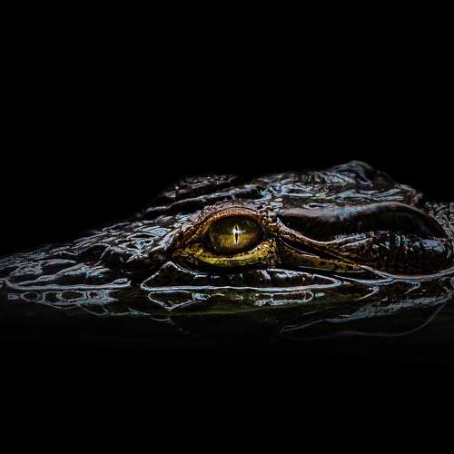 Photo #5689319
