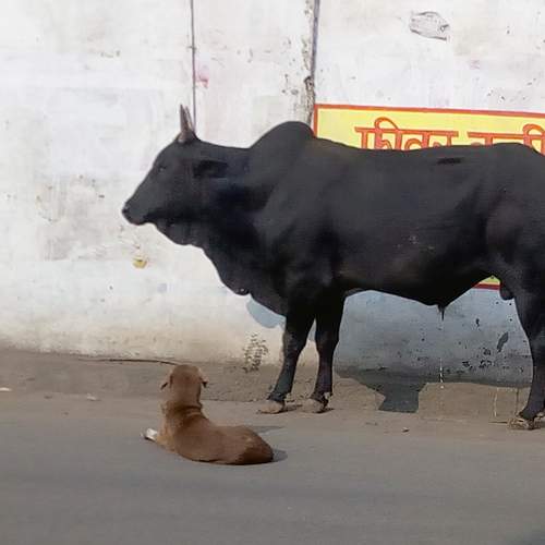 Photo #5689697