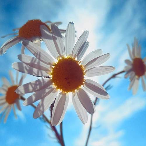 Photo #5690073
