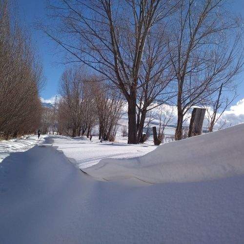 Photo #5690083