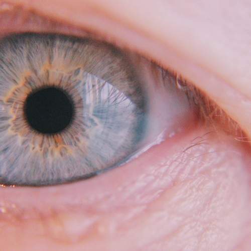 Photo #5690158