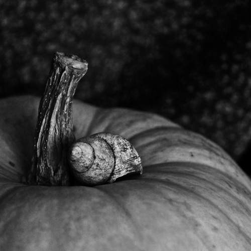 Photo #5690184