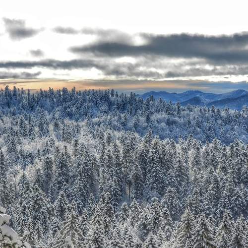 Photo #5690209