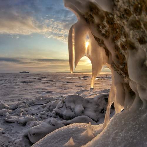 Photo #5690301