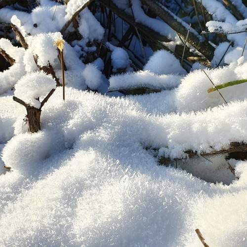 Photo #5691035