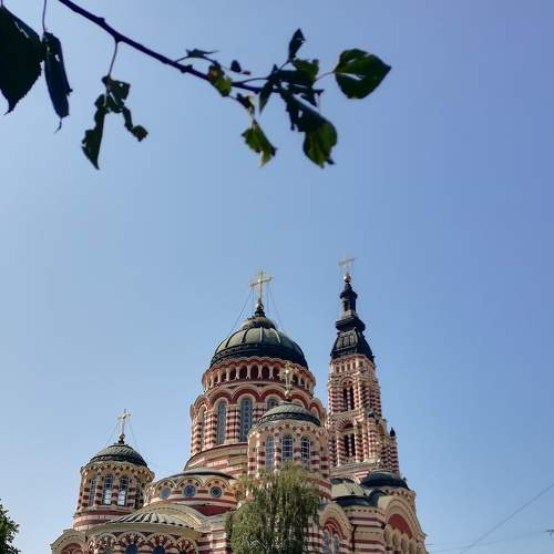Photo #5691111