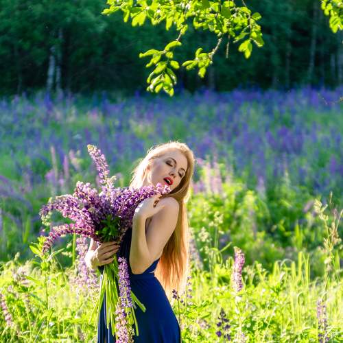 Photo #5691161