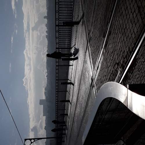 Photo #5691239
