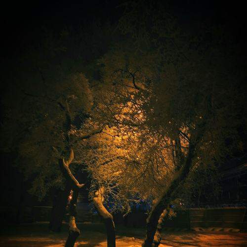 "Танец/Dance"