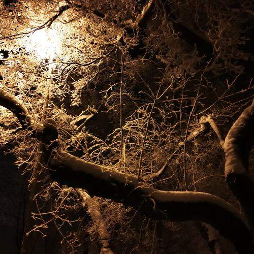 Photo #5691560