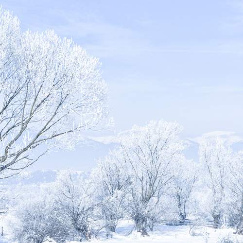 Winter in Banya
